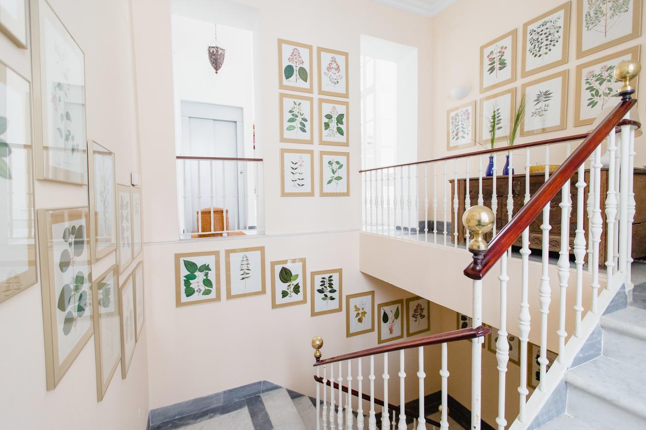 Apartamentos La Botanica, كاديز المظهر الخارجي الصورة